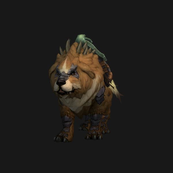 Braunfelliger stachliger Bakar