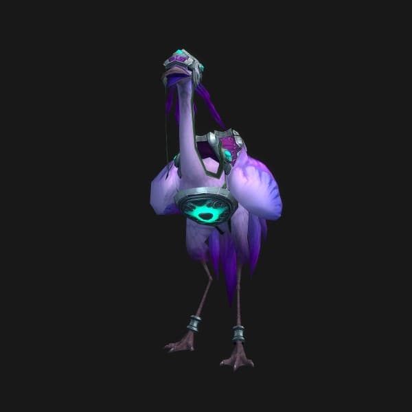 Bleicher Reitkranich