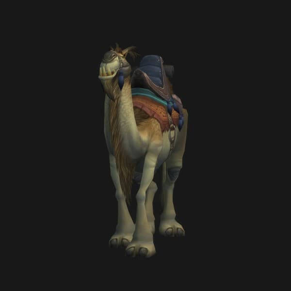 Hellbraunes Reitkamel