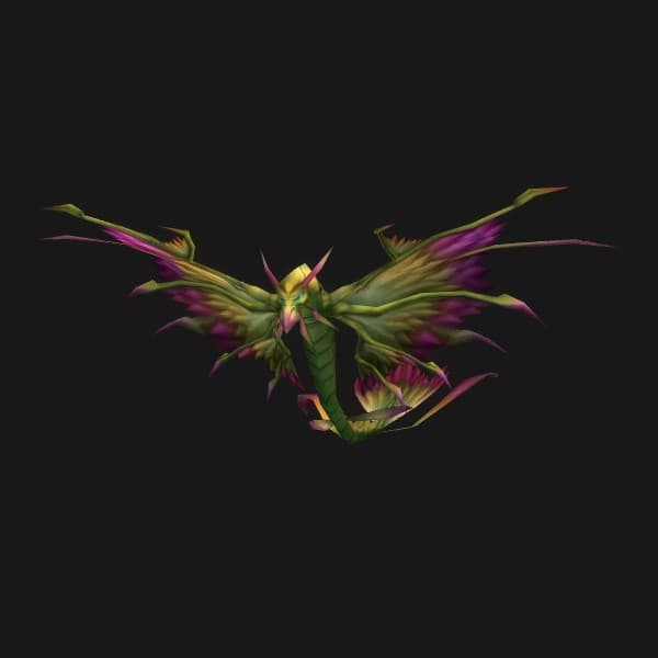 Drachenfalke der Amani