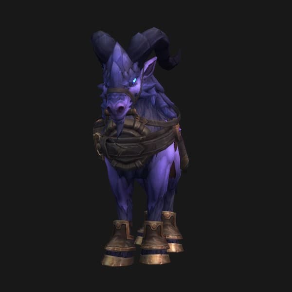 Amethystfarbener Ruinprescher